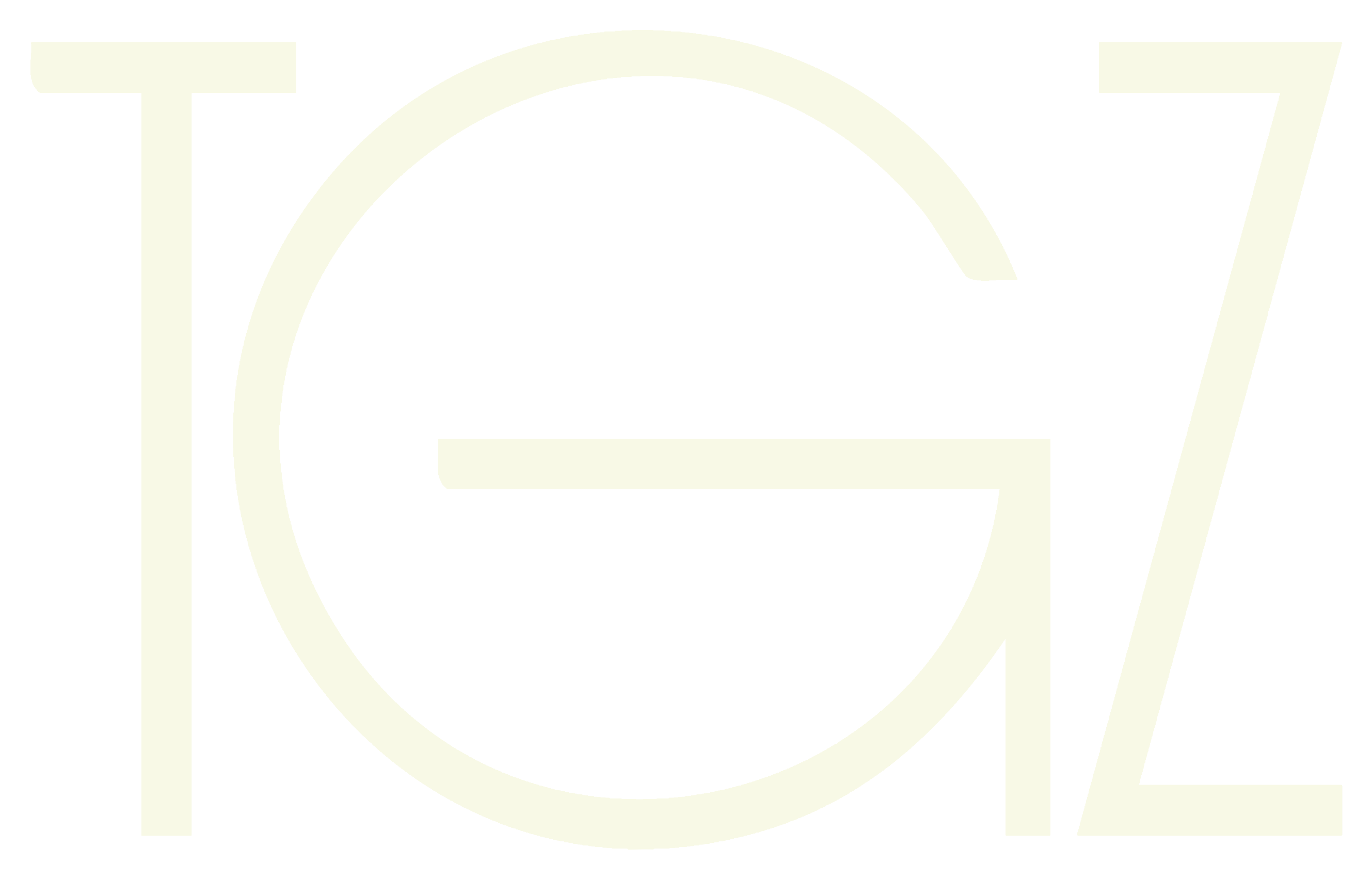 TGZ Conciergerie